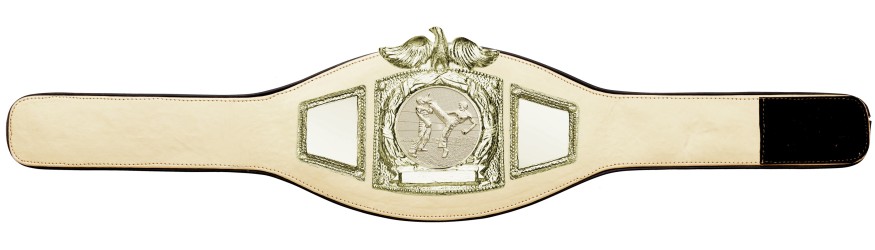 PROEAGLE KICKBOXING CHAMPIONSHIP BELT - PROEAGLE/G/KBOG - AVAILABLE IN 6+ COLOURS PROEAGLE KICKBOXING CHAMPIONSHIP BELT - PROEAGLE/G/KBOG - AVAILABLE IN 6+ COLOURS